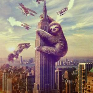 empire_state_sloth